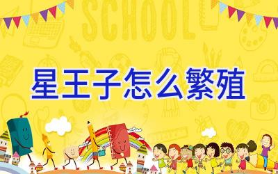 星王子怎么繁殖插图