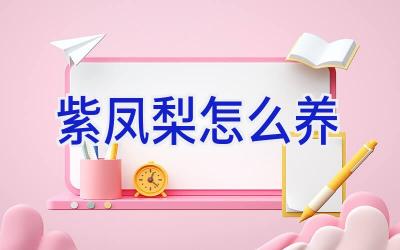 紫凤梨怎么养插图