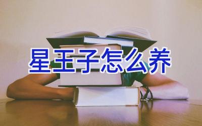 星王子怎么养插图