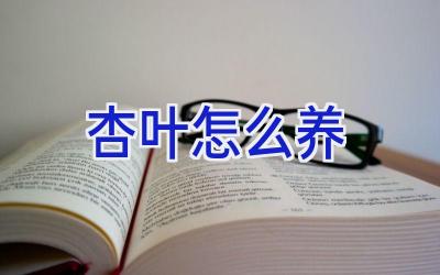 杏叶怎么养插图 杏叶怎么养插图