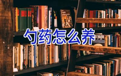 勺药怎么养插图 勺药怎么养插图