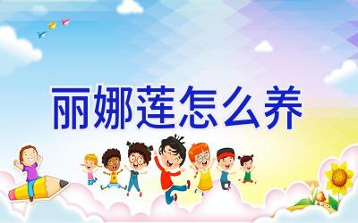 丽娜莲怎么养插图