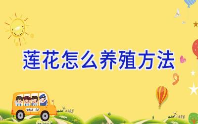 莲花怎么养殖方法插图