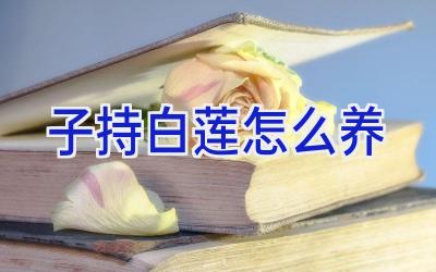 子持白莲怎么养插图