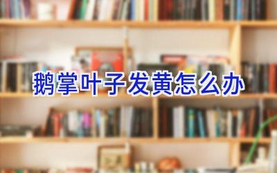 鹅掌叶子发黄怎么办插图 鹅掌叶子发黄怎么办插图
