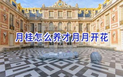 月桂怎么养才月月开花插图