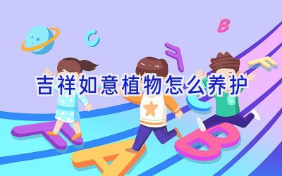 吉祥如意植物怎么养护插图