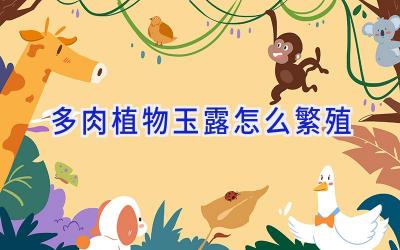 多肉植物玉露怎么繁殖插图