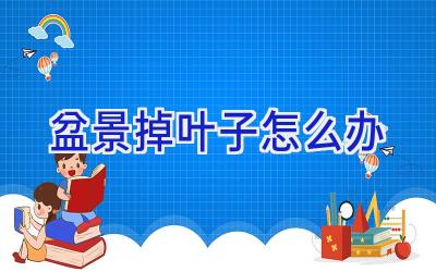 盆景掉叶子怎么办插图