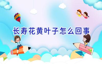长寿花黄叶子怎么回事插图 长寿花黄叶子怎么回事插图