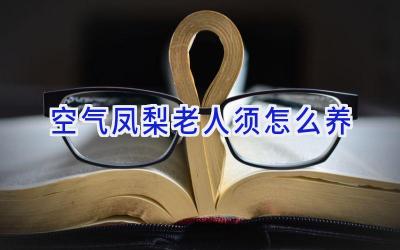 空气凤梨老人须怎么养插图 空气凤梨老人须怎么养插图