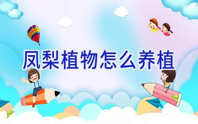 凤梨植物怎么养植插图