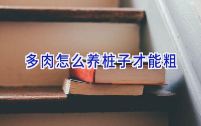 多肉怎么养桩子才能粗插图 多肉怎么养桩子才能粗插图