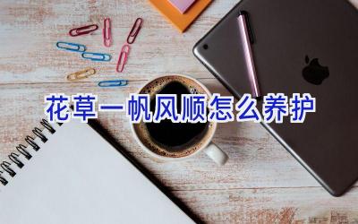 花草一帆风顺怎么养护插图
