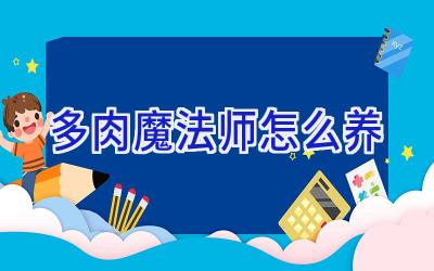 多肉魔法师怎么养插图