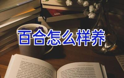 百合怎么样养插图