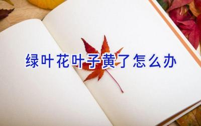 绿叶花叶子黄了怎么办插图 绿叶花叶子黄了怎么办插图