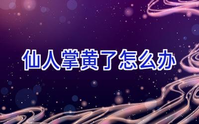 仙人掌黄了怎么办插图