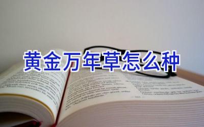 黄金万年草怎么种插图