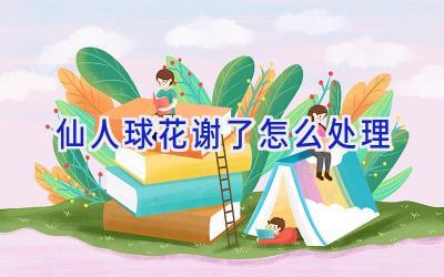 仙人球花谢了怎么处理插图 仙人球花谢了怎么处理插图