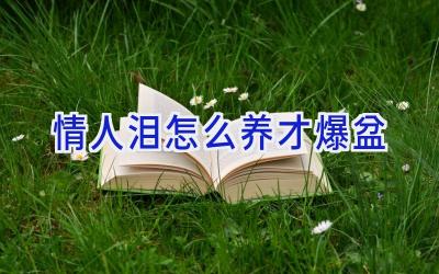 情人泪怎么养才爆盆插图 情人泪怎么养才爆盆插图