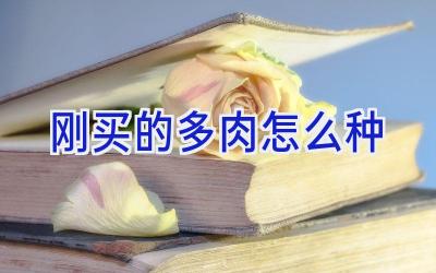 刚买的多肉怎么种插图