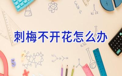 刺梅不开花怎么办插图