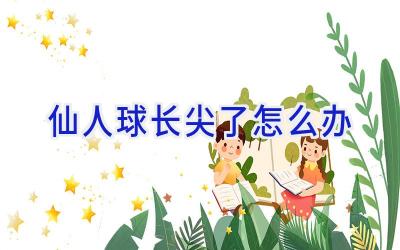 仙人球长尖了怎么办插图