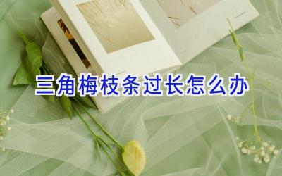 三角梅枝条过长怎么办插图