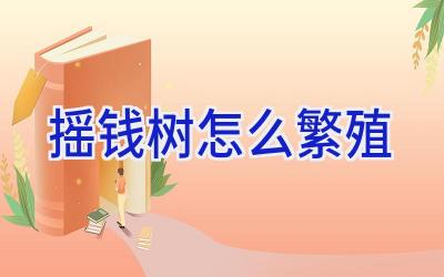 摇钱树怎么繁殖插图