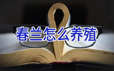 春兰怎么养殖插图
