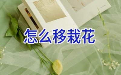 怎么移栽花插图