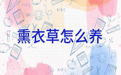 熏衣草怎么养插图