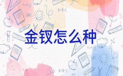 金钗怎么种插图