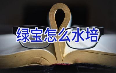 绿宝怎么水培插图