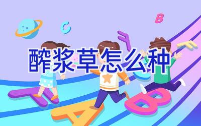 醡浆草怎么种插图