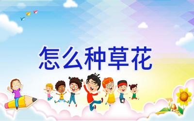 怎么种草花插图