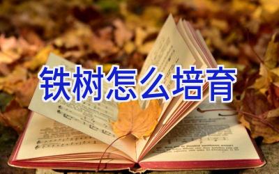 铁树怎么培育插图