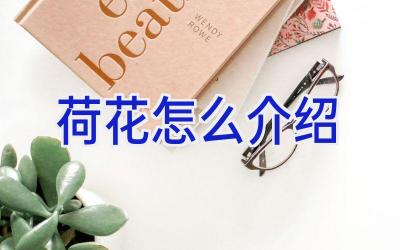荷花怎么介绍插图