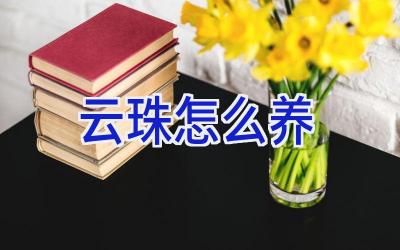 云珠怎么养插图