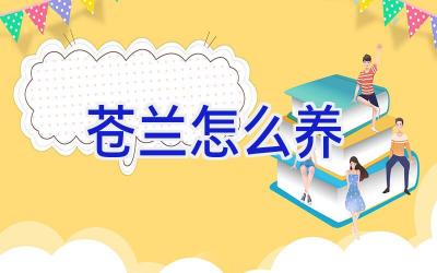 苍兰怎么养插图