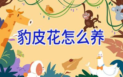 豹皮花怎么养插图