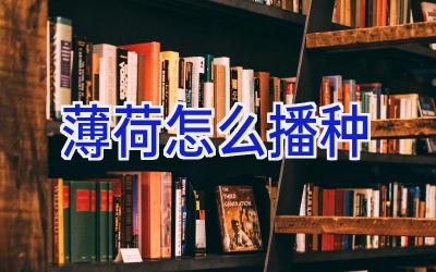 薄荷怎么播种插图