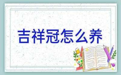 吉祥冠怎么养插图