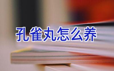 孔雀丸怎么养插图