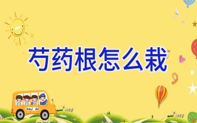 芍药根怎么栽插图