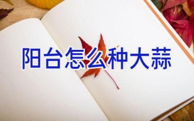 阳台怎么种大蒜插图