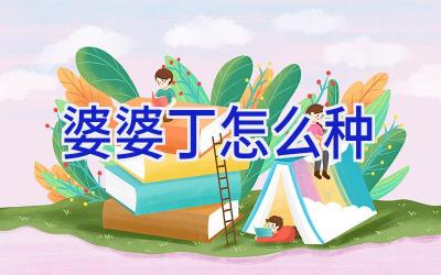 婆婆丁怎么种插图 婆婆丁怎么种插图