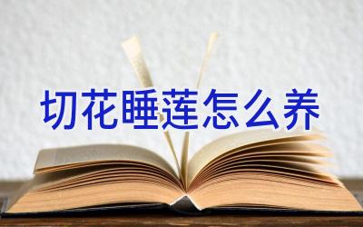 切花睡莲怎么养插图