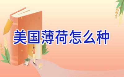 美国薄荷怎么种插图